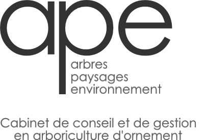 logo APE